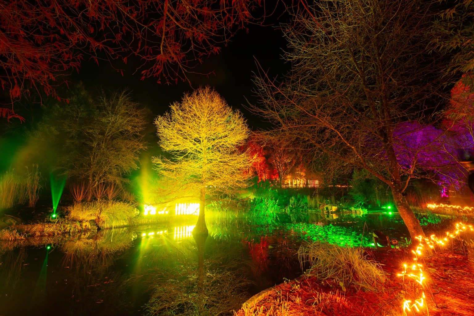 light-up-sir-harold-hillier-gardens-2025-preview-what-s-good-to-do